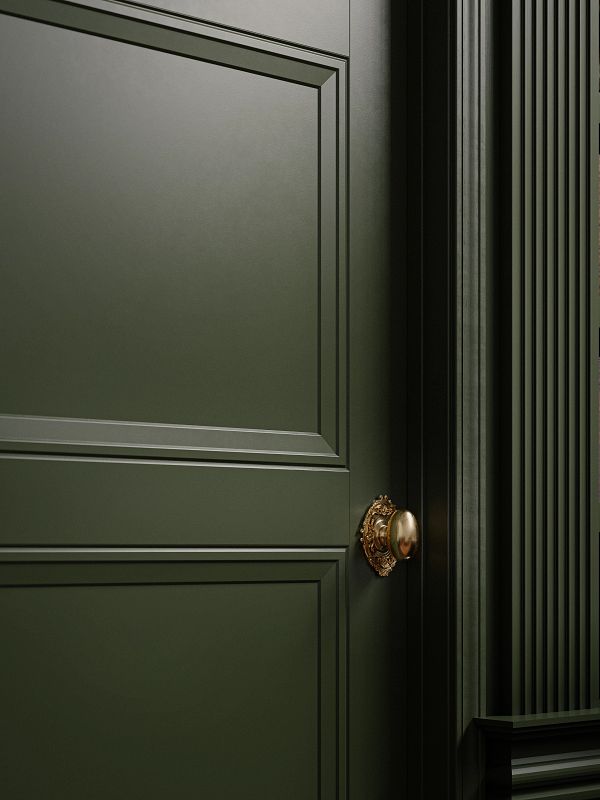 close-up shot of a dark green interior door with bronze handle in the dark academia interior design trend